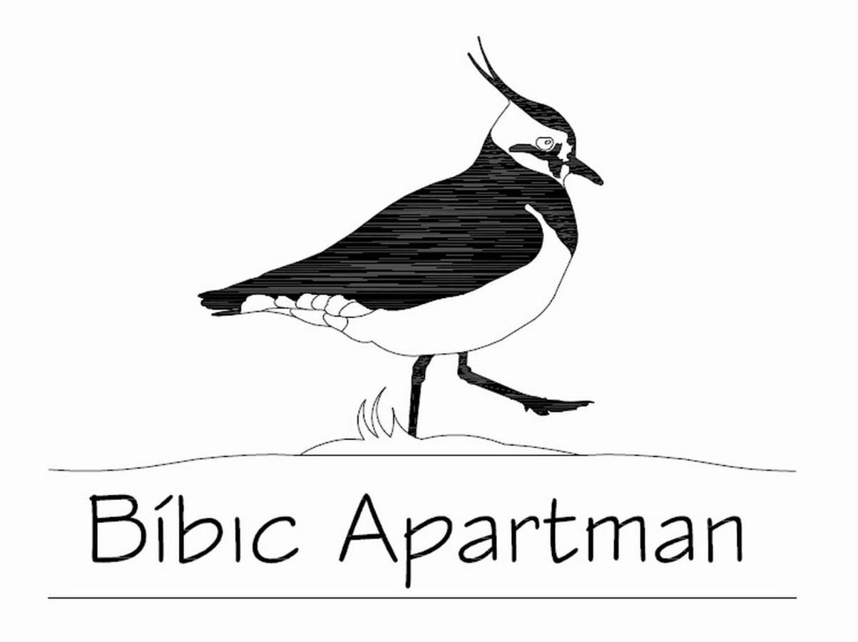 Bibic Apartman A Kapolnasnyek 외부 사진